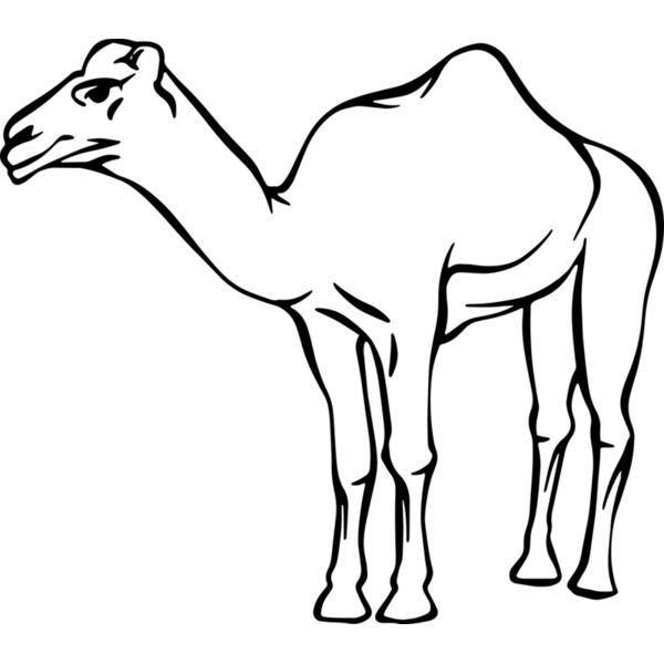 Camel   Clipart 2 Thumbnail
